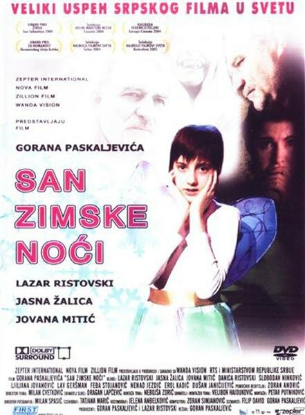 Сон в зимнюю ночь (2004)